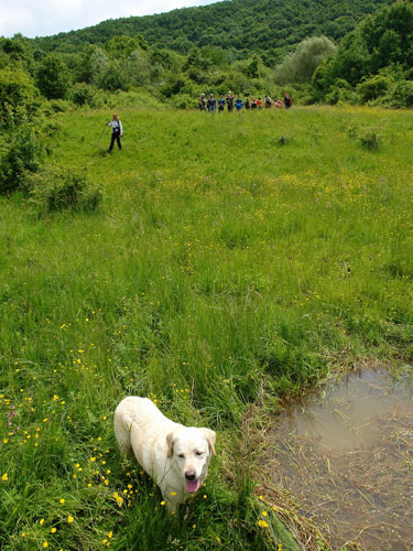 Foto coborand umedele terase (c) Petru Goja